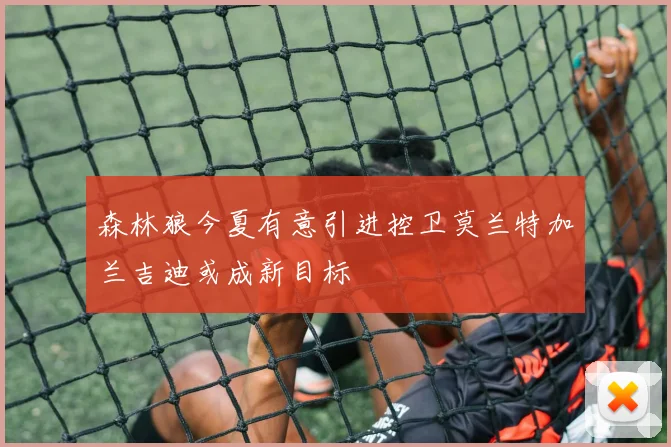 森林狼今夏有意引进控卫莫兰特加兰吉迪或成新目标